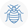 Bed Bug Extermination In Codicote