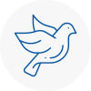Bird Prevention Codicote