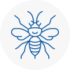 Codicote Hornet Nest Removals