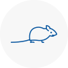 Mice Exterminators In Codicote