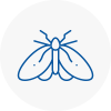 Moth Control Specialists In Codicote