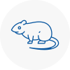 Rat Control Codicote