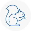 Codicote Rodent Removals